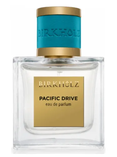 Imagen de Pacific Drive