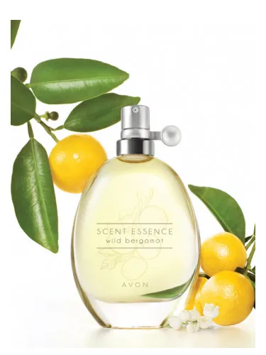 Imagen de Scent Essence - Wild Bergamot