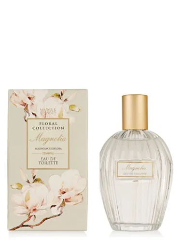 Imagen de Magnolia