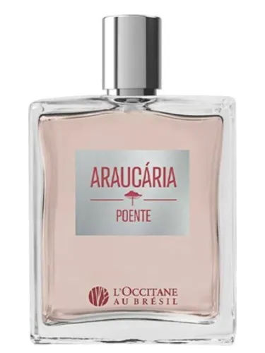 Perfume Araucária Poente de L’Occitane Au Brésil