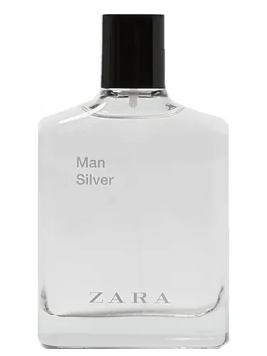Imagen de Man Silver 2019