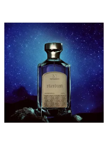 Imagen de Stardust