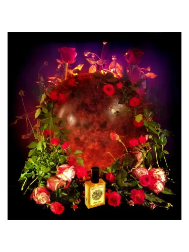 Perfume Orient Rose de Solstice Scents