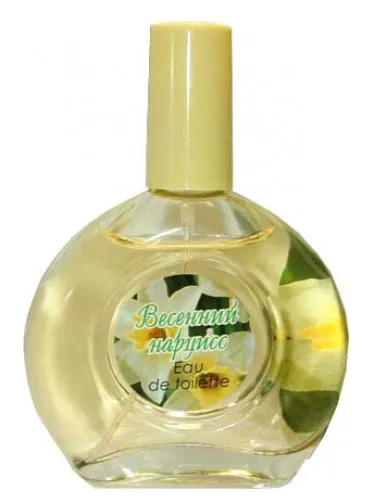 Imagen de Spring Narcissus Весенний Нарцисс