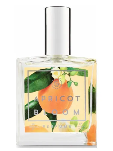 Imagen de Apricot Bloom