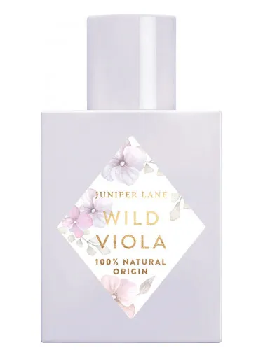 Imagen de Wild Viola