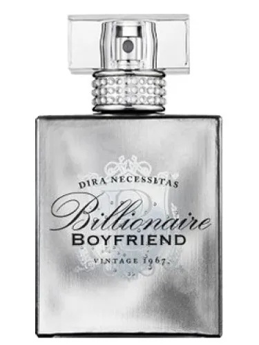 Imagen de Billionaire Boyfriend