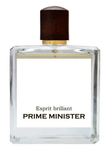 Imagen de Esprit brillant
