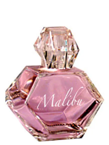 Imagen de Malibu Night