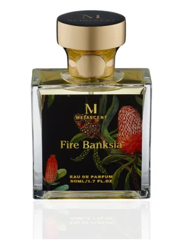 Imagen de Fire Banksia