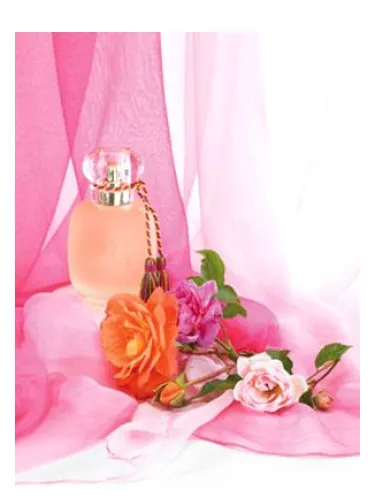 Imagen de Rose Kashmirie