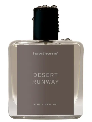 Imagen de Desert Runway