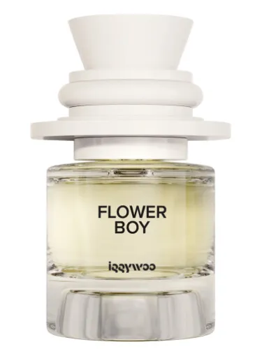 Imagen de Flower Boy