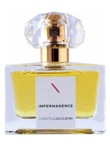 Imagen de Impermanence