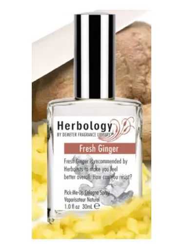 Imagen de Fresh Ginger