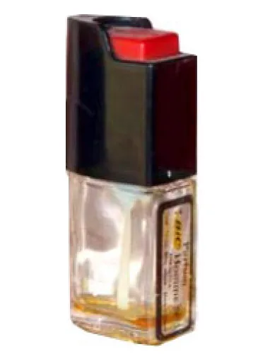 Imagen de Bic Homme