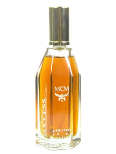 Imagen de MCM Success