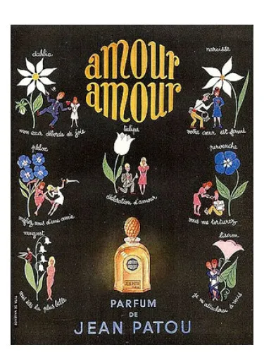 Imagen de Amour Amour