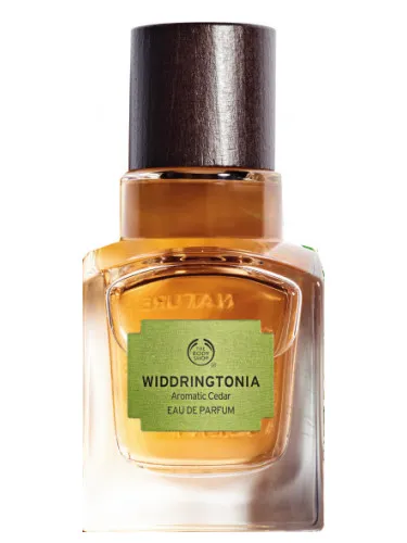 Perfume Widdringtonia de The Body Shop