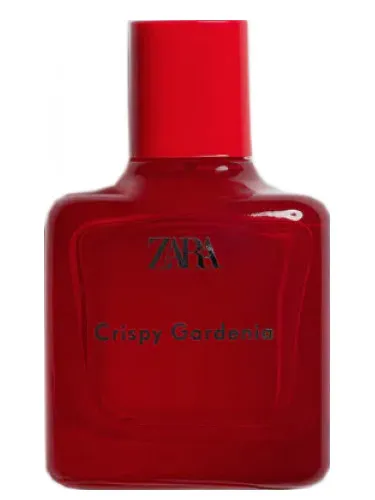 Imagen de Crispy Gardenia