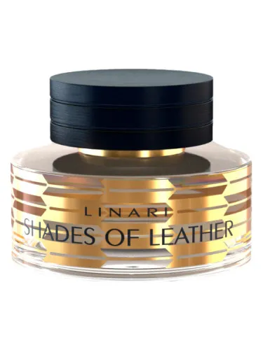 Imagen de Shades of Leather