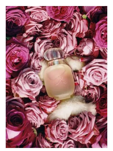 Imagen de Une Folie de Rose