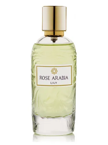 Imagen de Rose Arabia Lily