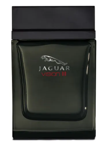 Imagen de Jaguar Vision III