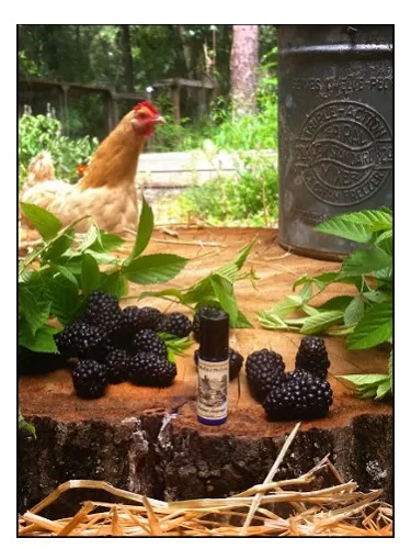 Perfume Blackburn Farmstead de Solstice Scents