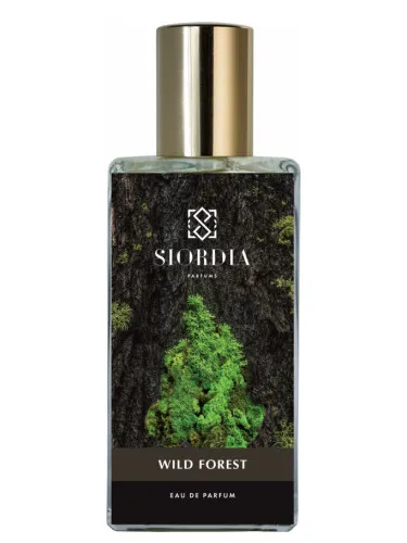 Imagen de Wild Forest