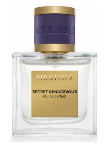 Imagen de Secret Rendezvous