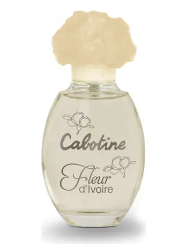 Imagen de Cabotine Fleur d’Ivoire