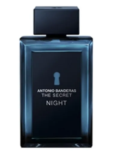 Imagen de The Secret Night