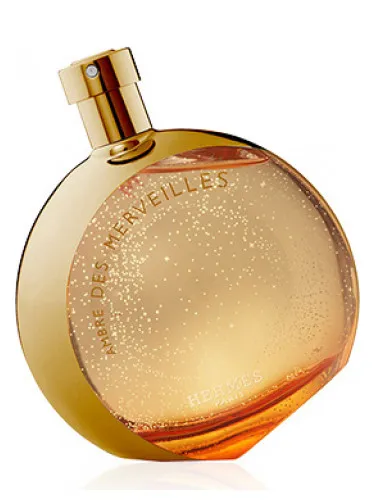 Imagen de L'Ambre des Merveilles Limited Edition Collector