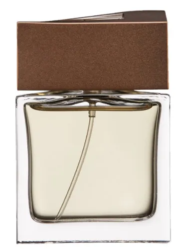 Imagen de Brioni Man Eau de Parfum