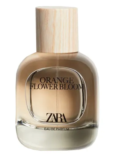 Imagen de Orange Flower Bloom