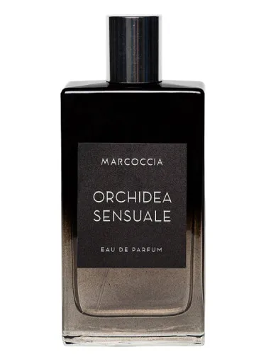 Imagen de Orchidea Sensuale
