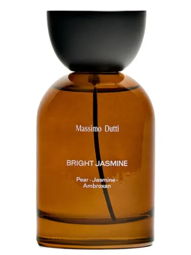 Imagen de Bright Jasmine