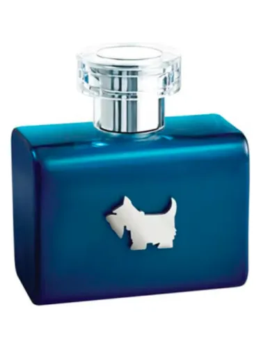 Imagen de Terrier Blue