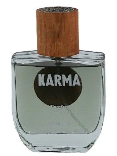 Imagen de Karma