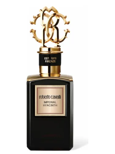 Imagen de Imperial Hyacinth