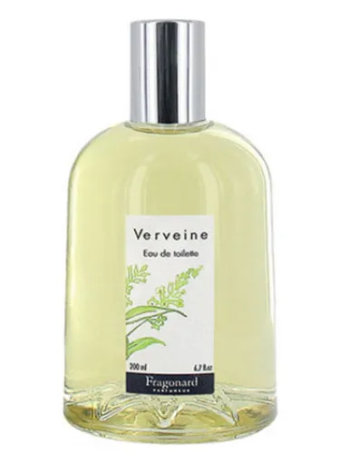 Imagen de Verveine