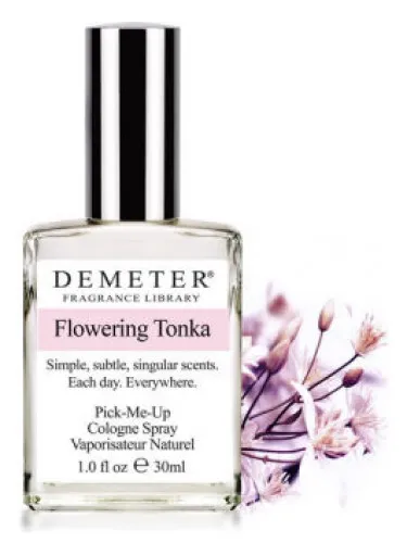 Imagen de Flowering Tonka