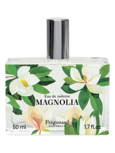 Imagen de Magnolia