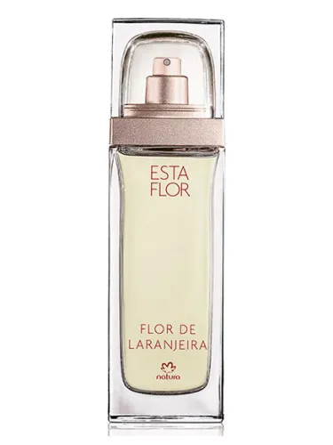 Imagen de Esta Flor Flor de Laranjeira