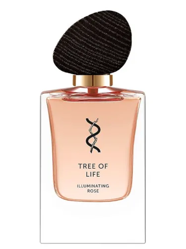 Perfume Illuminating Rose de Tree Of Life