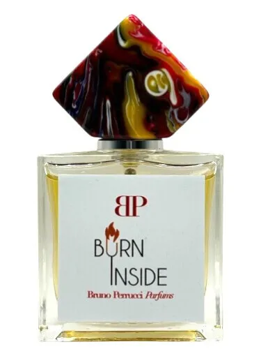Imagen de Burn Inside