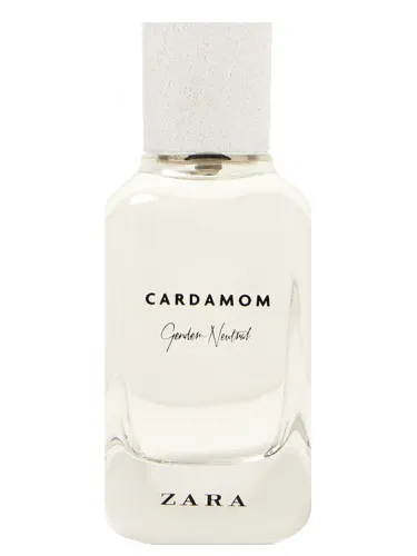 Imagen de Cardamom - Gender Neutral