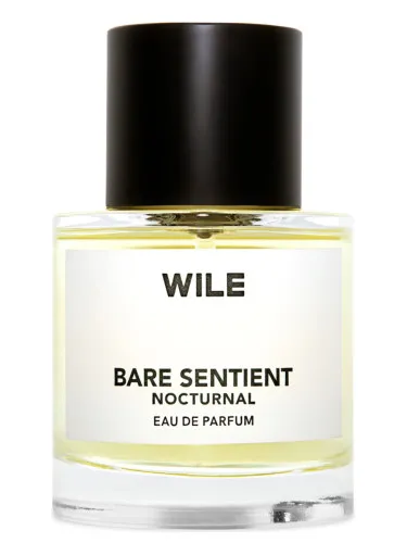 Imagen de Bare Sentient Nocturnal