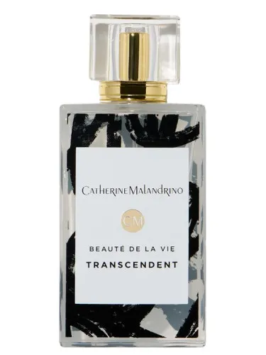 Imagen de Transcendent
